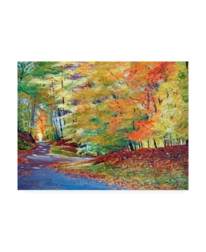 Trademark Global David Lloyd Glover Walking In Autumn Canvas Art In Multi