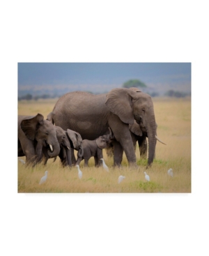 Trademark Global Young Feng Big Family Elephants Canvas Art In Multi