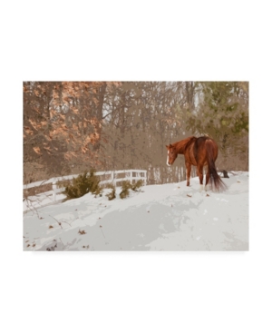 Trademark Global Monte Nagler Horse In The Snow Milford Michigan Canvas Art In Multi