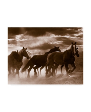 Trademark Global Monte Nagler Running Horses And Sunbeams Rothbury Michigan Canvas Art In Multi