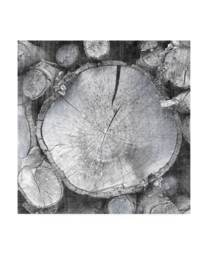 John Butler Logging Light Vi Canvas Art - 15