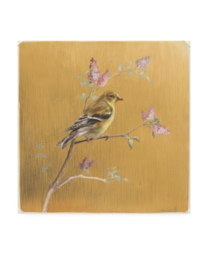 Trademark Global Danhui Nai Female Goldfinch On Gold Canvas Art In Multi