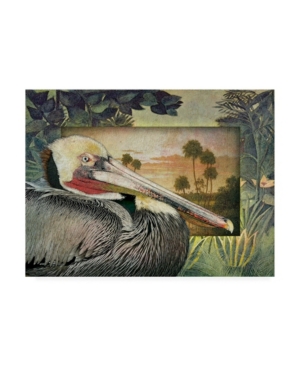 Trademark Global Steve Hunziker Pelican Paradise I Canvas Art In Multi