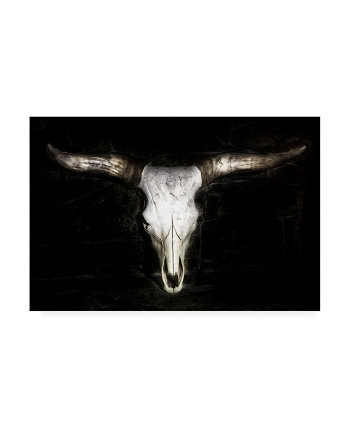 Trademark Global PH Burchett Cow Skull Canvas Art 36.5" x 48" Macy's
