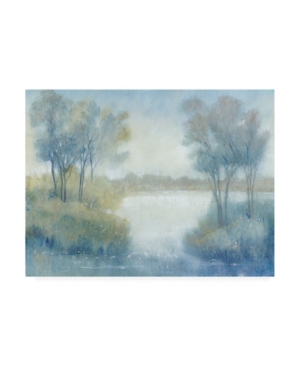 Trademark Global Tim Otoole Morning At The Pond I Canvas Art In Multi