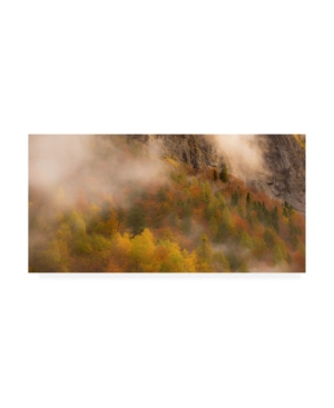 Trademark Global Dan Ballard Foliage Fog Canvas Art In Multi