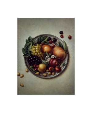 Trademark Global Dan Craig Fruit On Plate Canvas Art In Multi