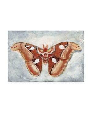 Trademark Global Alicia Ludwig Papillon De Nuit I Canvas Art In Multi