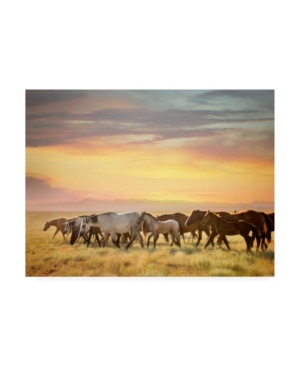Trademark Global Ph Burchett Sunkissed Horses I Canvas Art In Multi