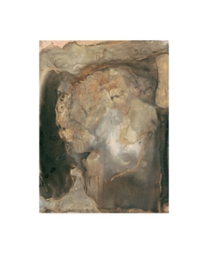 Trademark Global Joyce Combs Ancient Rock Ii Canvas Art In Multi