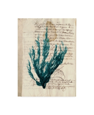Trademark Global Vision Studio Vintage Teal Seaweed Ii Canvas Art In Multi