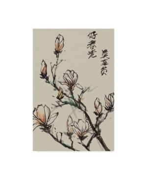 Trademark Global Melissa Wang Mandarin Magnolia I Canvas Art In Multi