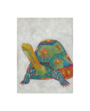 Trademark Global Chariklia Zarris Turtle Friends Ii Canvas Art In Multi