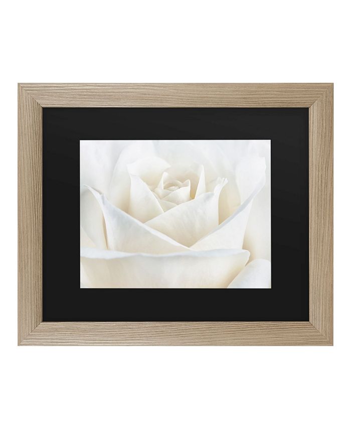 Trademark Global Cora Niele Pure White Rose Matted Framed Art - 27