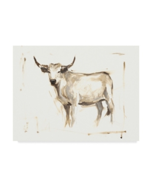 Trademark Global Ethan Harper White Cattle Ii Canvas Art In Multi