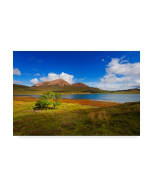 Philippe Sainte-Laudy Light Trees Canvas Art - 20