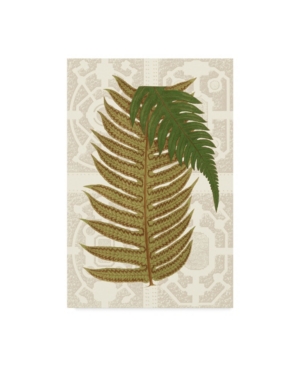 Vision Studio Garden Ferns Ii Canvas Art - 20