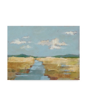 Trademark Global Ethan Harper Summer Wetland Ii Canvas Art In Multi