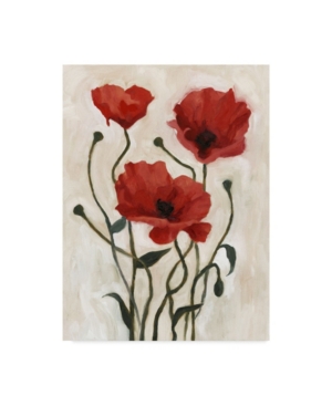 Trademark Global Emma Scarvey Poppy Bouquet I Canvas Art In Multi