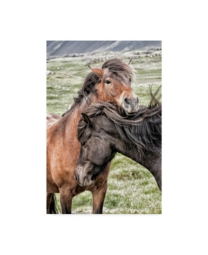 Danny Head Best Friends Horses Canvas Art - 20