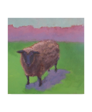 Trademark Global Carol Young Pasture Sheep Canvas Art In Multi