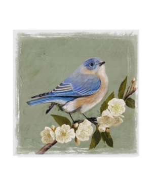 Trademark Global Victoria Borges Bluebird Branch I Canvas Art In Multi
