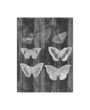 Trademark Global Jennifer Goldberger Rustic Butterfly Chart Iii Canvas Art In Multi