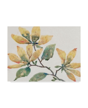 Trademark Global Tim Otoole Flowering Branch Ii Canvas Art In Multi