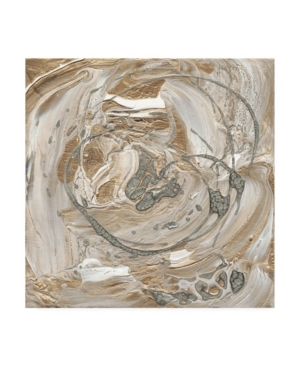 Trademark Global Alicia Ludwig Silver And Gold I Canvas Art In Multi