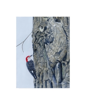 Trademark Global Fred Szatkowski Red Bellied Woodpecker I Canvas Art In Multi