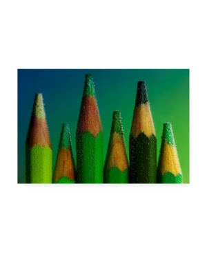 Shop Trademark Global Aida Ianeva Green Pencils Canvas Art In Multi