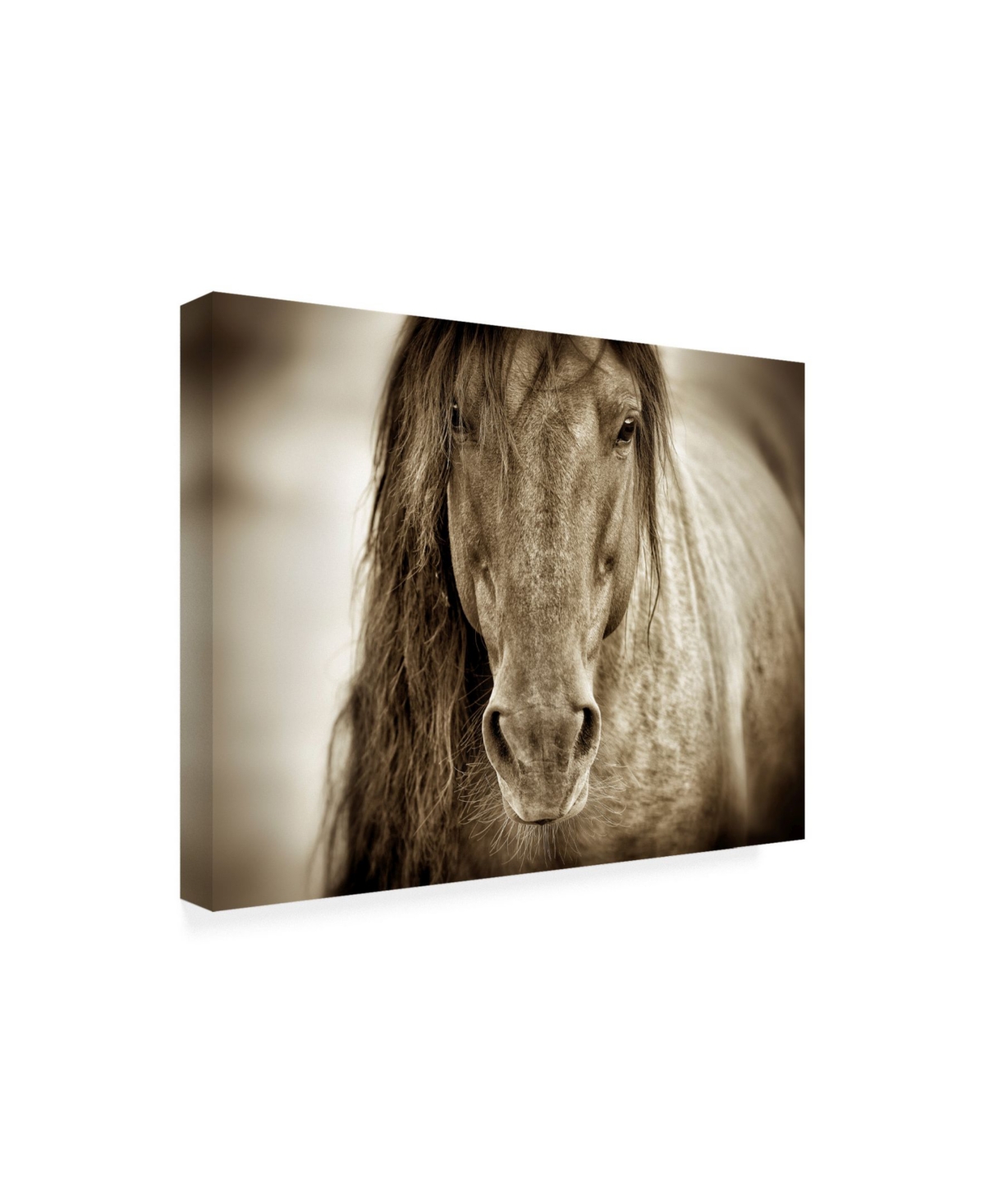 Lisa Dearin Mustang Sally Horse Canvas Art -