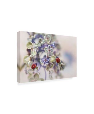 Trademark Global Ellen Van Deelen Fragile Canvas Art - 15" x 20"