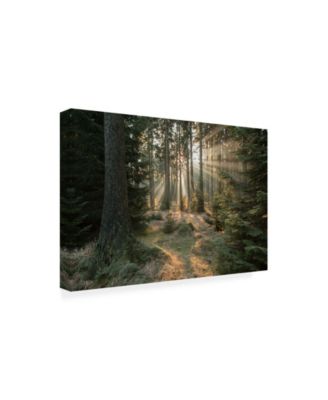 Trademark Global Vincent Croce Rays Part 2 Canvas Art - 15" x 20"