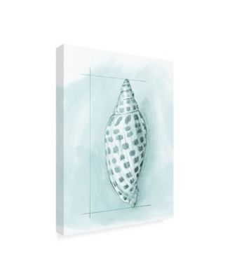 Trademark Global Megan Meagher Coastal Shell Schematic IV Canvas Art - 15.5" x 21"