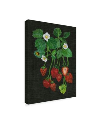Melissa Wang Strawberry Fields II Canvas Art - 20" x 25"