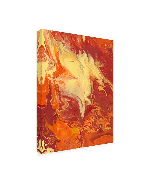 Trademark Global Regina Moore Nomadic Blaze I Canvas Art ...