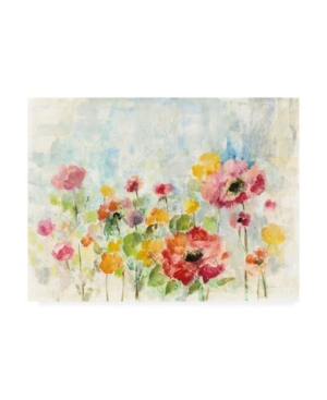 Trademark Global Silvia Vassileva Summer Rain Floral Canvas Art In Multi