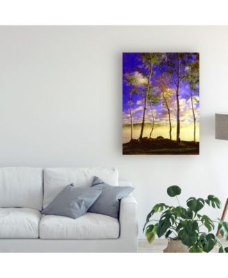Trademark Global Monte Nagler Birch Trees and Mist Negaunee Michigan Canvas Art - 20" x 25"
