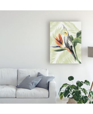 Trademark Global Grace Popp Avian Paradise I Canvas Art - 20" x 25"