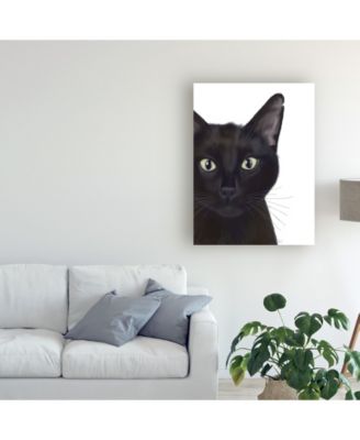 Trademark Global Fab Funky Cat, Portrait of Gus Canvas Art - 27" x 33.5"