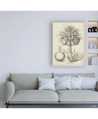 Trademark Global Vision Studio Fresco Crown Imperial II Canvas Art - 27" x 33.5"