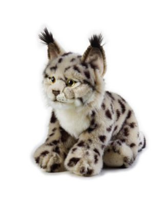 National geographic cat toy best sale