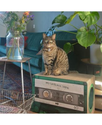 district 7 cat scratcher