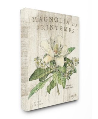 French Magnolias in Spring Canvas Wall Art, 30" x 40"