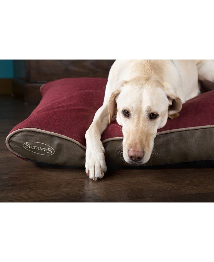 Scruffs hilton memory best sale foam