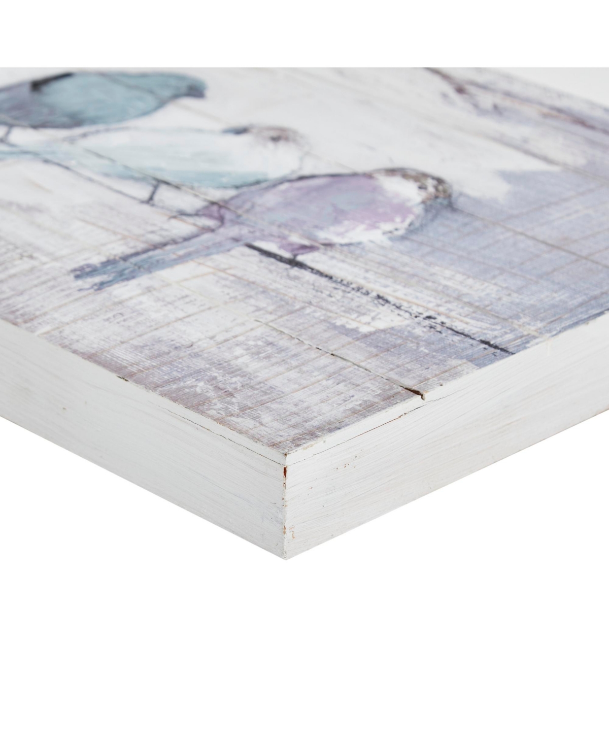 Madison Park Perched Birds Hand Painted Wood Plank In White,grey