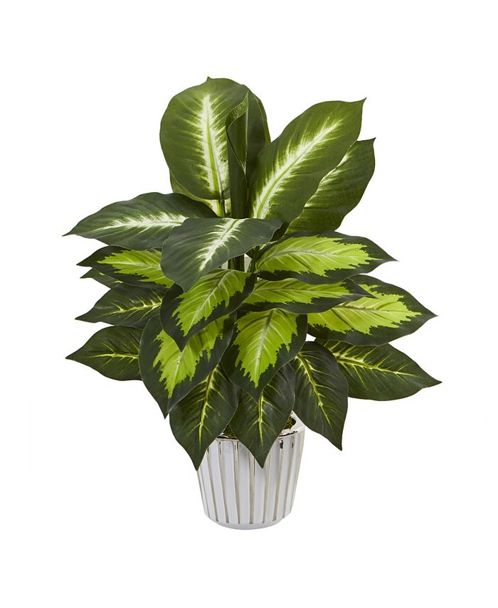 Nearly Natural 19" Dieffenbachia Artificial Plant in White Vase, Set of