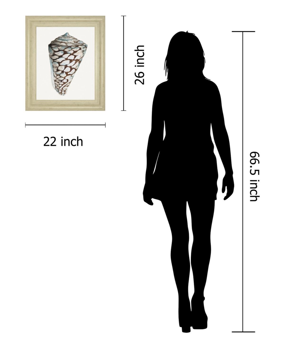 Classy Art Modern Shell With Teal Il by Patricia Pinto Framed Print Wall Art - 22