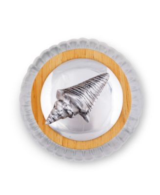 Canister Glass for Kitchen with Rubber Airtight Seal for Food Storage Shell Ocean Knob